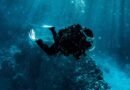 Naufrágios em Ilhabela: point dos mergulhadores